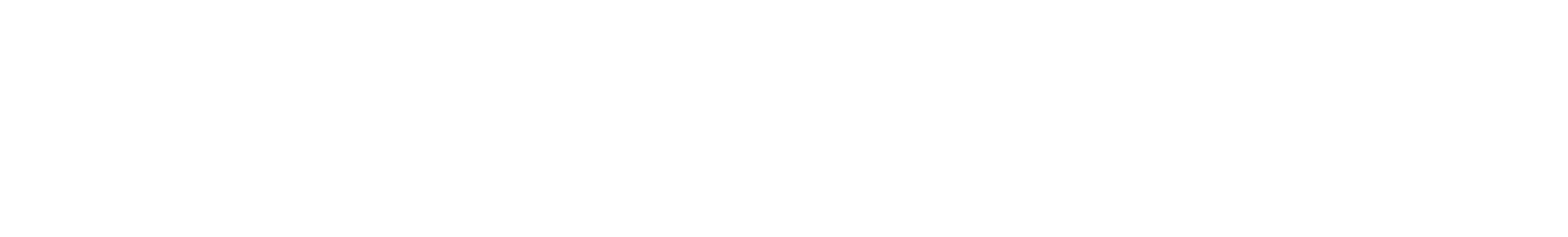 Raisoni Logo